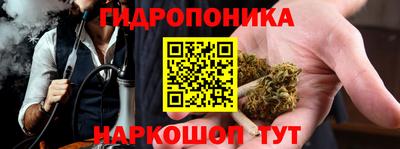 крисы Татарск