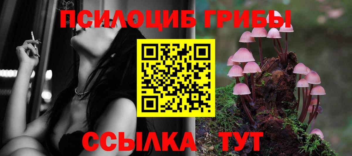 Галлюциногенные грибы Psilocybine cubensis  Псилоцибиновые грибы Psilocybe  Вход с VPN  Белебей 